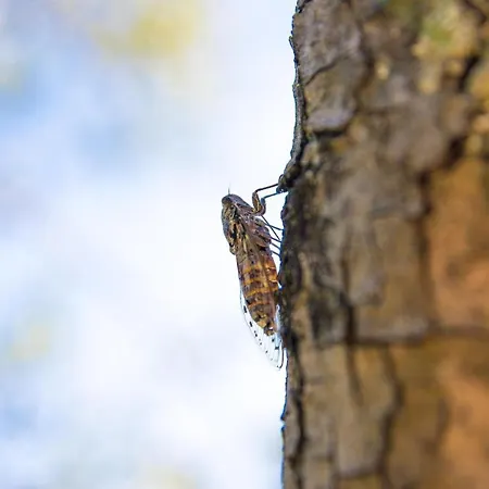 Vakantiehuis La Ca Dei Ulif Gardone Riviera